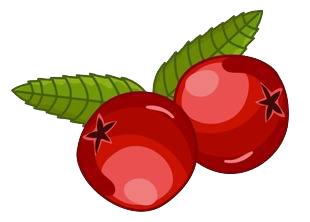 1红色的果子